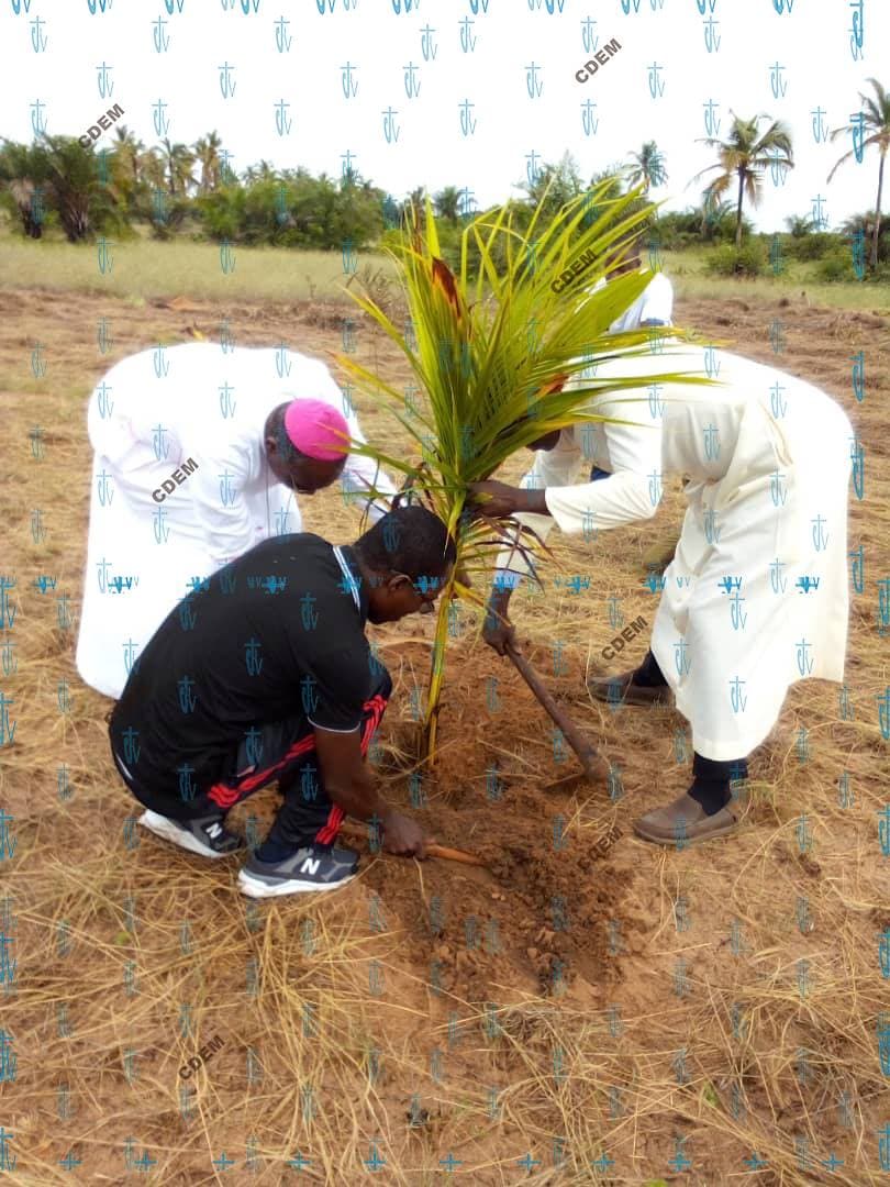 JOURNEE DE L'ARBRE: Mgr Houngbédji plante à Djègbadji